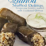 Trader Joe's Quinoa Stuffed Dolmas