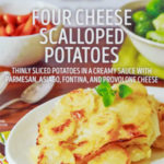 Trader Joe's Four Cheese Scalloped Potatoes